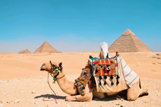 Cairo Day Tours